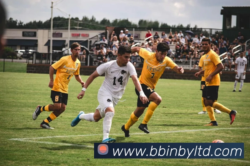 BBIN宝盈发展历程